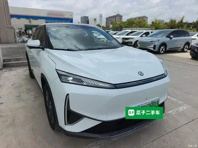 2024 Dongfeng Aeolus Dongfeng Fengshen L7 518 Air, фото 4, лот 11159083