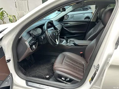 2019 BMW 5 Series New Energy Facelift 530Le Luxury Package, фото 3, лот 10474175