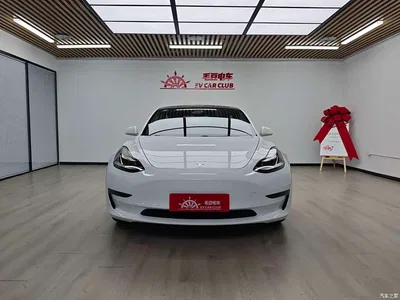 2019 Tesla Model 3 (Import) Long Range RWD Version, фото 4, лот 10356165