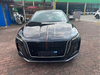 2025 Hongqi H5 2.0T Automatic Mystic Shadow, фото 2, лот 11087362