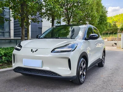 2024 Wuling Motors Wuling Binguo PLUS 401km Range 5-seater, фото 1, лот 10833626