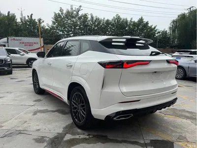 2022 Oshan Z6 Blue Whale 1.5T DCT Intelligent Premium, фото 4, лот 10408163