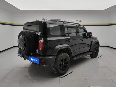 2021 Tank 300 Off-road Version 2.0T Conqueror, фото 3, лот 10769446