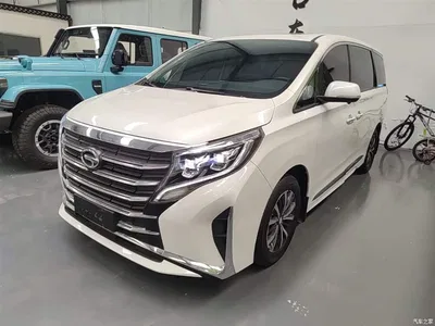 2024 GAC Trumpchi Trumpchi M8 Leadershow Series 390T Luxury Edition, фото 2, лот 10425002
