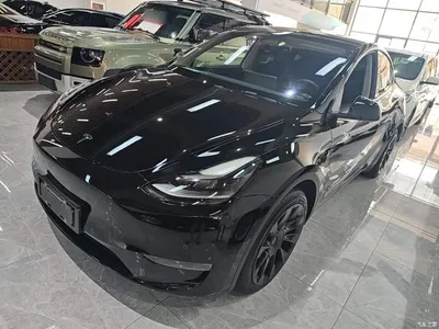 2021 Tesla Model Y Standard Range Rear-Wheel Drive, фото 2, лот 10370339