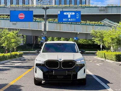 2023 BMW XM 50e, фото 1, лот 10477208