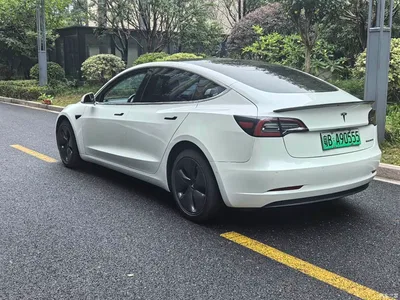 2019 Tesla Model 3 (Import) Long Range All-Wheel Drive Edition, фото 4, лот 11201875