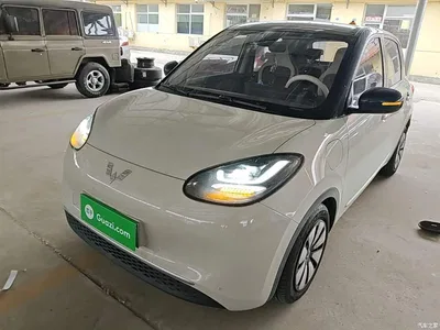 2023 Wuling Motors Wuling Bingo 333km Joyful Version, фото 2, лот 10371950