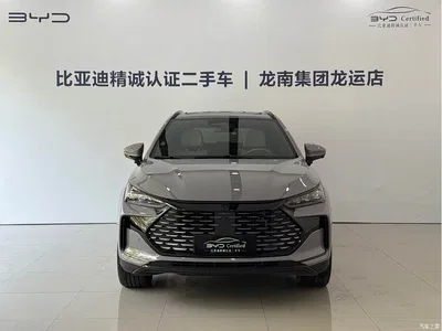 2025 BYD Tang New Energy Smart Driving Edition DM-i 115KM Flagship, фото 2, лот 10273967