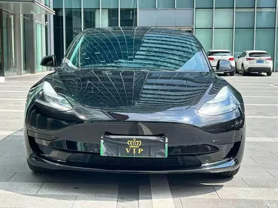 2021 Tesla Model 3 Facelift Standard Range RWD Upgrade 3D1, фото 1, лот 10450245