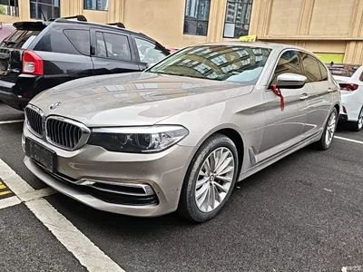 2019 BMW 5 Series Facelift 530Li xDrive Luxury Package, фото 2, лот 11196016