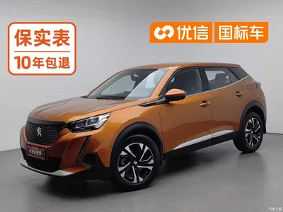 2020 Peugeot 2008, фото 1, лот 10244222