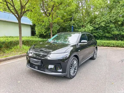 2023 Leapmotor C11 Pure Electric 500 Smart Edition, фото 1, лот 10314704