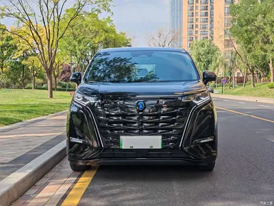 2024 Denza D9 DM-i 980 AWD Premium, фото 2, лот 11195119