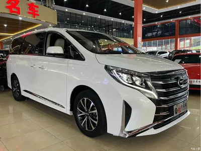 2021 GAC Trumpchi Trumpchi M8 Leading Show Series 390T Luxury Edition, фото 3, лот 10415580