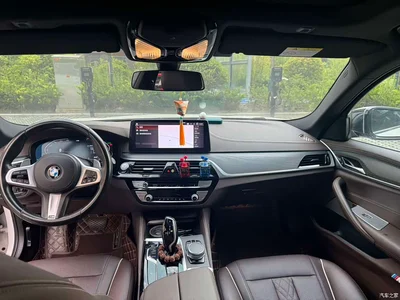 2021 BMW 5 Series 530Li Premium M Sport Package, фото 3, лот 10479221