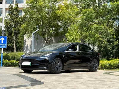 2019 Tesla Model 3 Standard Range Rear-Wheel Drive Upgrade, фото 1, лот 10346267