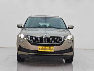 2019 Škoda Kodiaq GT TSI330 2WD Luxury Edition China V, фото 2, лот 10348701