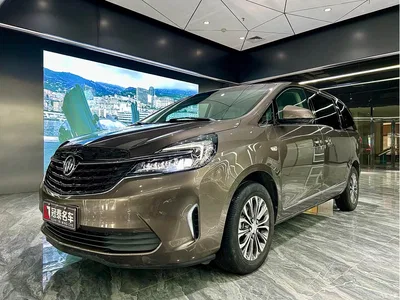 2022 Buick GL8 Land Business Class 652T Luxury, фото 1, лот 10250698