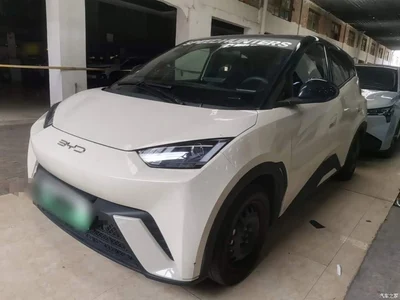 2024 BYD Seagull Glory Edition 305km Vitality Edition, фото 2, лот 11133822
