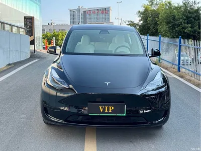 2022 Tesla Model Y Rear-Wheel Drive Version, фото 2, лот 11243886