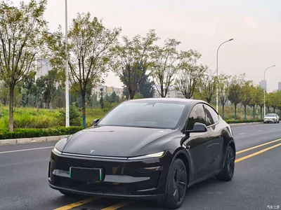 2025 Tesla Model Y Rear-Wheel Drive, фото 1, лот 11196908