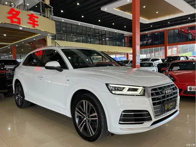 2020 Audi Q5L 40 TFSI Prestige Fashion, фото 3, лот 10422917