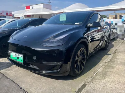 2021 Tesla Model Y Standard Range Rear-Wheel Drive, фото 1, лот 11567513