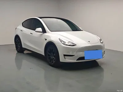 2022 Tesla Model Y Facelift Rear-Wheel Drive Version, фото 3, лот 10405384