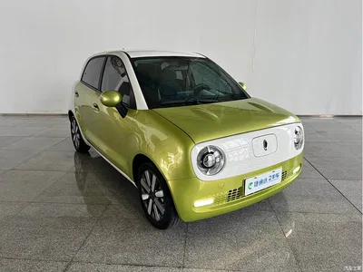 2021 Ora Black Cat 351km Standard Model, фото 4, лот 10330355