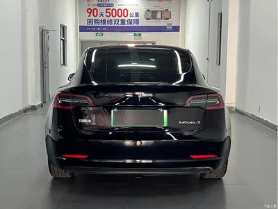 2020 Tesla Model 3 Standard Range Rear-Wheel Drive Upgrade, фото 4, лот 11074707