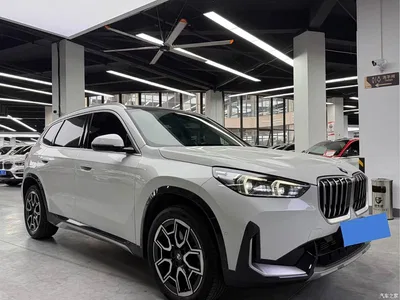 2025 BMW X1 sDrive25Li M Sport Package, фото 3, лот 11280051