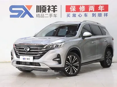 2021 GAC Trumpchi Trumpchi GS5 Advanced 270T Tech Zhiling Edition, фото 1, лот 10415925