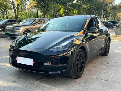 2023 Tesla Model Y Long Range All-Wheel Drive Edition, фото 1, лот 10480890