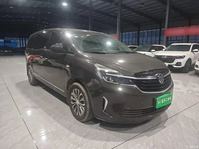 2021 Buick GL8 Land Business Class 652T Luxury, фото 4, лот 11205457