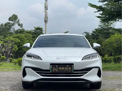 2024 BYD Seal 06 New Energy DM-i 80KM Luxury, фото 2, лот 10274033