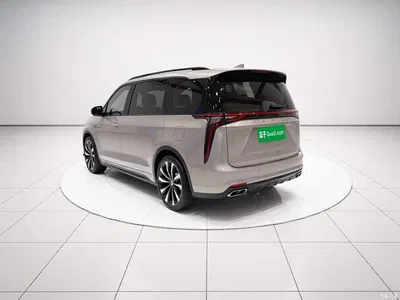 2023 SAIC Maxus Maxus G90 2.0T Starlight 7-seater, фото 4, лот 11160981