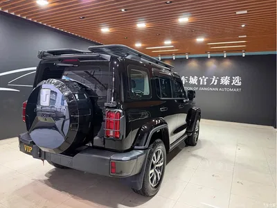 2023 Tank 300 Urban Edition 2.0T Very Stylish, фото 4, лот 11248666