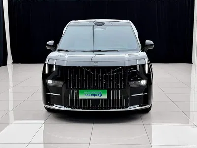 2024 ZEEKR 009 7-Seat Aisle AWD Version 108kWh, фото 2, лот 10305626