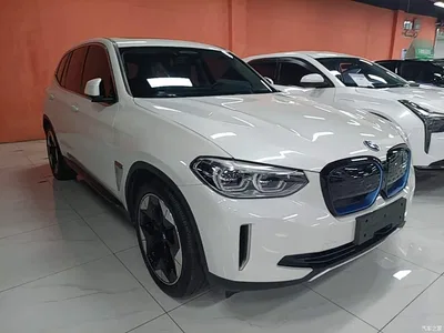 2021 BMW iX3 Pioneer, фото 4, лот 10475135