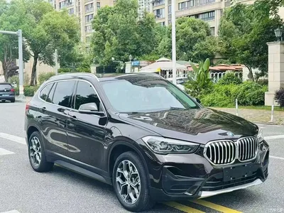 2020 BMW X1 sDrive25Li Leading Model, фото 3, лот 10684394
