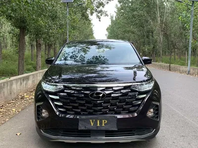 2021 Hyundai Kustu 270TGDi Premium LUX, фото 2, лот 11188754