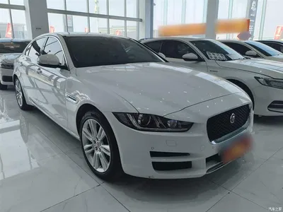 2019 Jaguar XEL 2.0T 200PS Premium, фото 4, лот 10290393