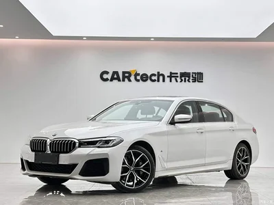 2021 BMW 5 Series 530Li Premium M Sport Package, фото 1, лот 11214844