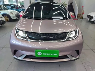 2021 BYD Dolphin 405km Freedom Edition, фото 3, лот 10260573