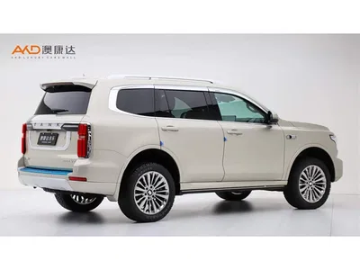 2022 Tank 500 3.0T Business Edition Zaojing 5-Seater, фото 3, лот 10344469