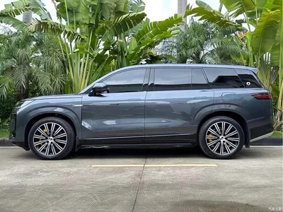 2025 Denza N9 Model Prestige Edition, фото 3, лот 10345819