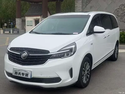 2022 Buick GL8 Land Business Class 652T Luxury, фото 1, лот 10257460