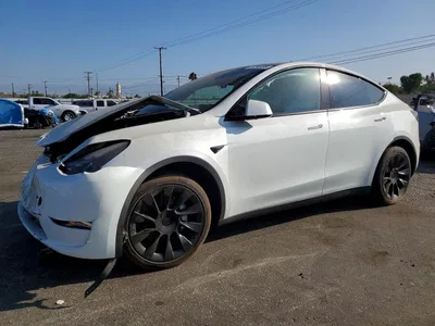2023 TESLA MODEL Y, фото 1, лот 10854096