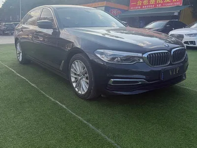 2020 BMW 5 Series 530Li Leading Luxury Package, фото 3, лот 11192449